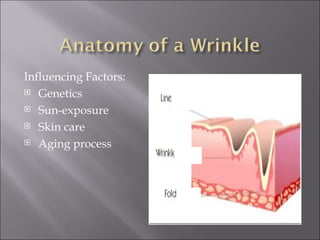 Influencing Factors: Genetics Sun-exposure Skin care Aging process Line Wrinkle Fold 