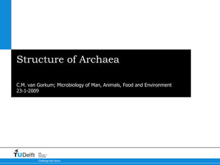 Structure of Archaea What makes them so unique compared to bacteria and eukaryotes? C.M. van Gorkum; Microbiology of Man, Animals, Food and Environment 