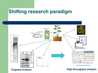Shifting research paradigm
genome.uiowa.edu
http://www.shimadzu.com
Targeted analysis High-throughput analysis
 