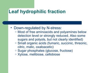 Leaf hydrophilic fraction
• Down-regulated by N-stress:
o Most of free aminoacids and polyamines below
detection level or strongly reduced. Also some
sugars and polyols, but not clearly identified)
o Small organic acids (fumaric, succinic, threonic,
citric, malic, oxaloacetic)
o Sugar phosphates (glucose, fructose)
o Xylose, melibiose, cellobiose
 