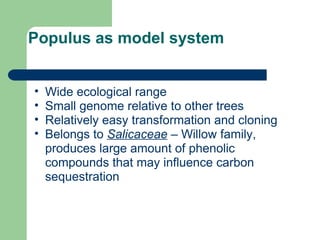 Populus as model system
• Wide ecological range
• Small genome relative to other trees
• Relatively easy transformation and cloning
• Belongs to Salicaceae – Willow family,
produces large amount of phenolic
compounds that may influence carbon
sequestration
 