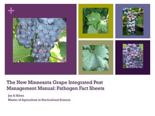 The New Minnesota Grape Integrated Pest Management Manual: Pathogen Fact Sheets Joy A Hilton Master of Agriculture in Horticultural Science 