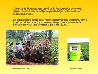 Treballadors de sucre a Brasil Benzinera ecològica L’energia de biomassa que prové de la fusta, residus agrícoles i pixum, continua sent la font principal d’energia de las zones en desenvolupament.  En alguns casos també es el recurs econòmic més important, com a Brasil, on el  sucre es transforma en etanol, i en la província de Sichuán, en Xina, on s’obté gas a partir de pixum.  