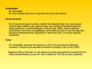 Avantatges És renovable. És una energia neta que no genera cap tipus de residus. Inconvenients En el cas de les grans preses, alteren les sèquies dels rius i provoquen l’erosió dels voltants, per aquest motiu, les centrals hidroelèctriques de petita potència o minihidràuliques, inferiors als 10Mw, tenen especial importància com fonts energètiques renovables ja que no han de disposar de grans embassaments reguladors i tenen per tant, un escàs impacte ambiental.  Futur En l’actualitat, aquesta font genera un 23% de la producció elèctrica mundial i s’espera que aquesta quantitat es dupliqui cap a l’any 2025. Segons el Banc Mundial, en els països en desenvolupament aquesta font es troba desaprofitada, ja que tan sols s’utilitza el 10% de la seva capacitat.  
