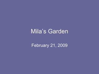 Mila’s Garden February 21, 2009 