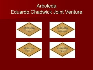 Arboleda  Eduardo Chadwick Joint Venture   