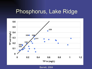 Phosphorus, Lake Ridge Barrett, 2004 