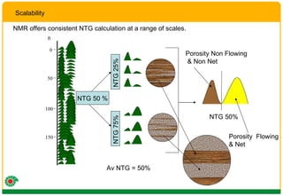 Scalability ft 0 50 100 150 NTG 50 % NTG 50% Porosity Non Flowing & Non Net Porosity  Flowing  & Net NMR offers consistent NTG calculation at a range of scales. NTG 25%  NTG 75%  Av NTG = 50% 
