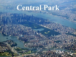 Central   Park J.A.C 