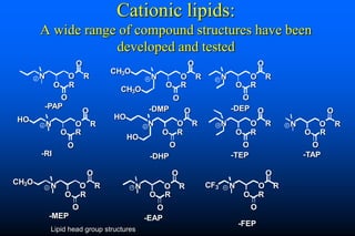 Naked DNA And DNA Vaccines  A Retrospective