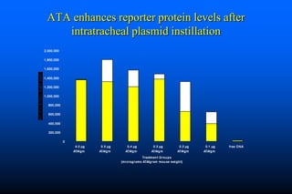 Naked DNA And DNA Vaccines  A Retrospective