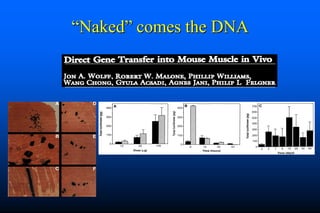 Naked DNA And DNA Vaccines  A Retrospective