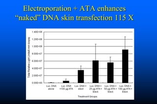 Naked DNA And DNA Vaccines  A Retrospective
