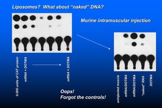 Naked DNA And DNA Vaccines  A Retrospective