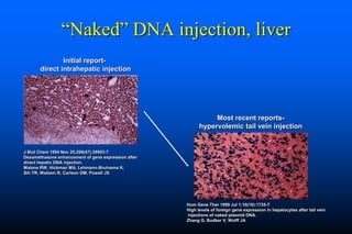 Naked DNA And DNA Vaccines  A Retrospective