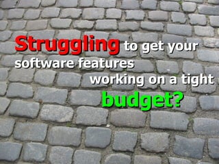 © 2009 Neev Nordica, a  Neev Technologies company Struggling  to get your  software features working on a tight  budget? 
