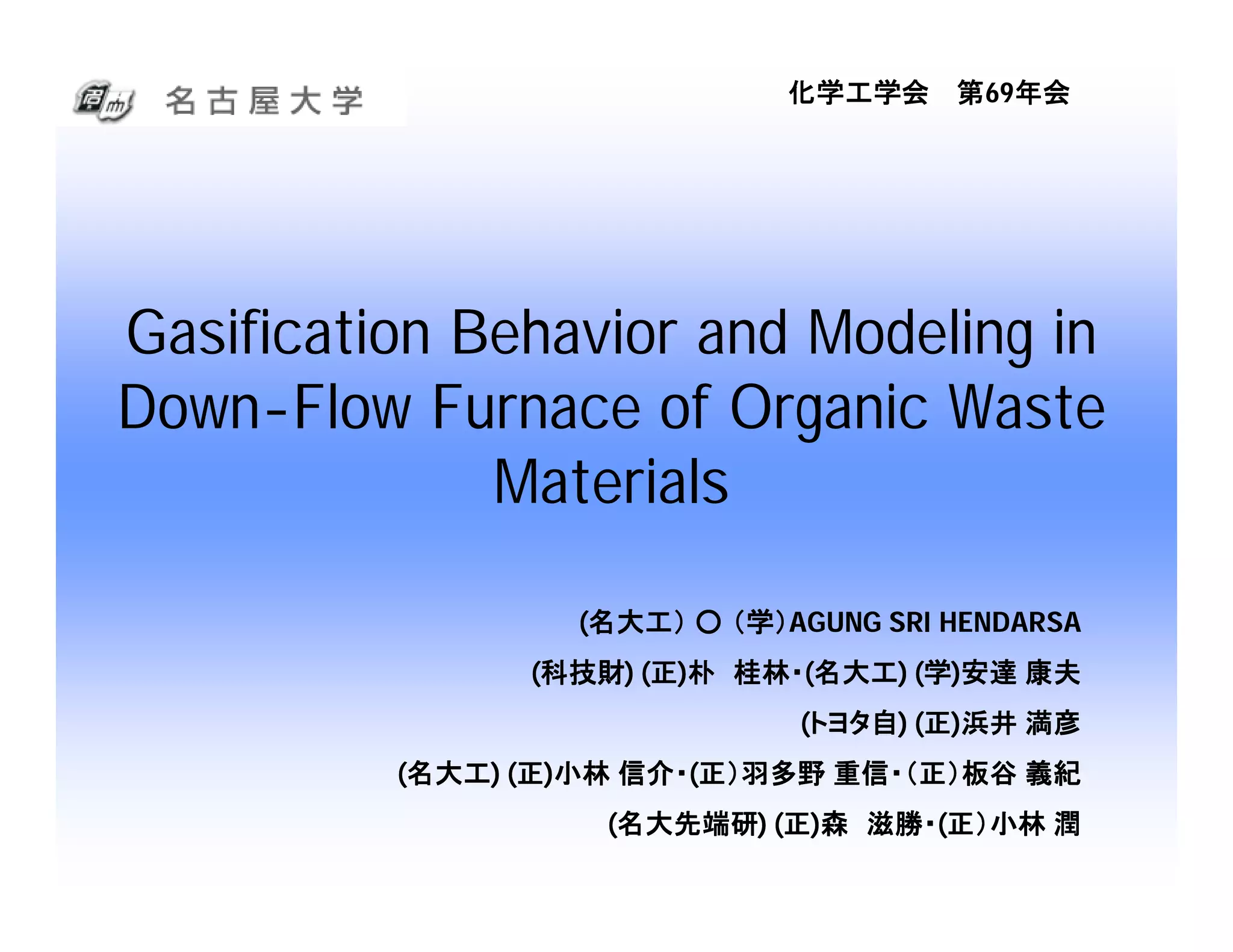 Modeling of Gasification Behavior