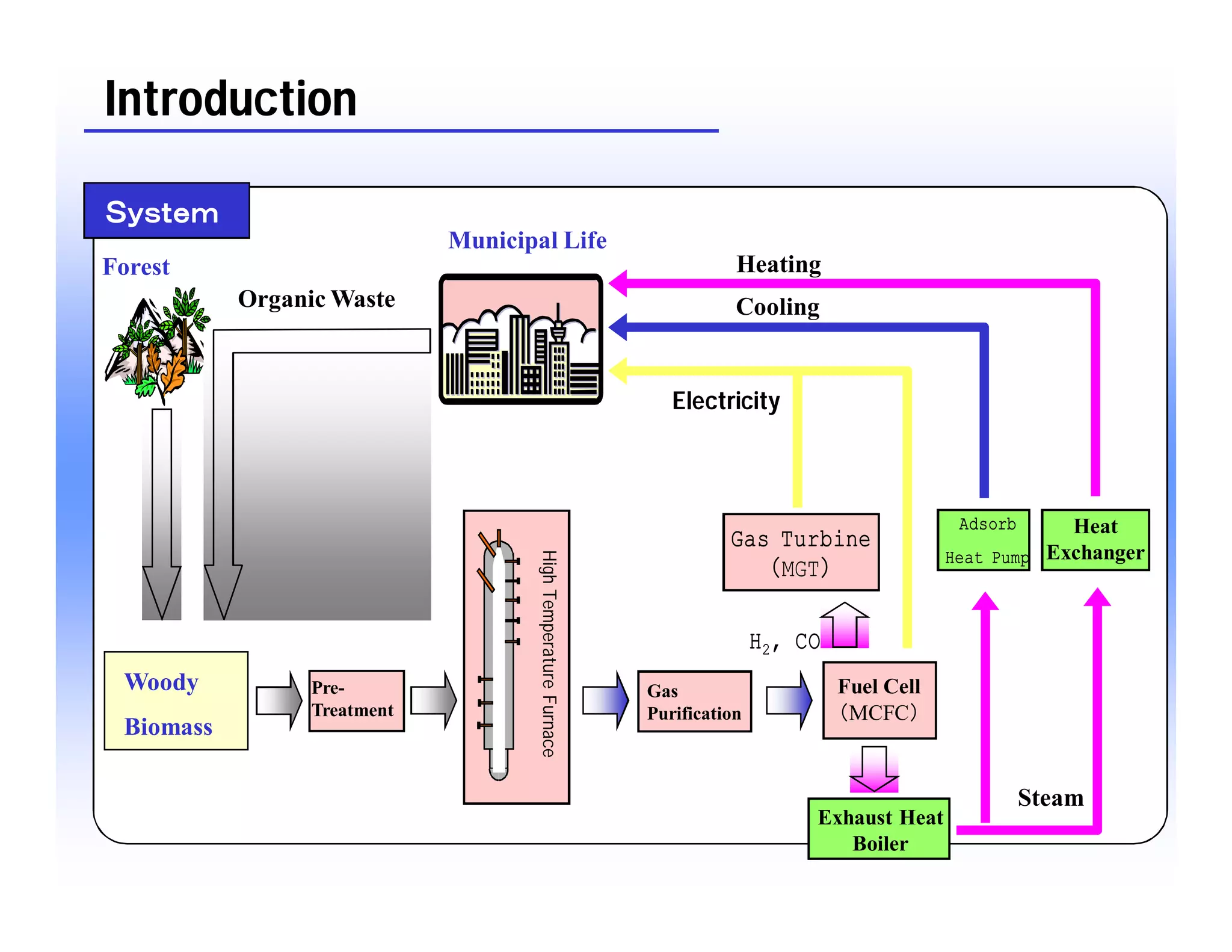 Modeling of Gasification Behavior