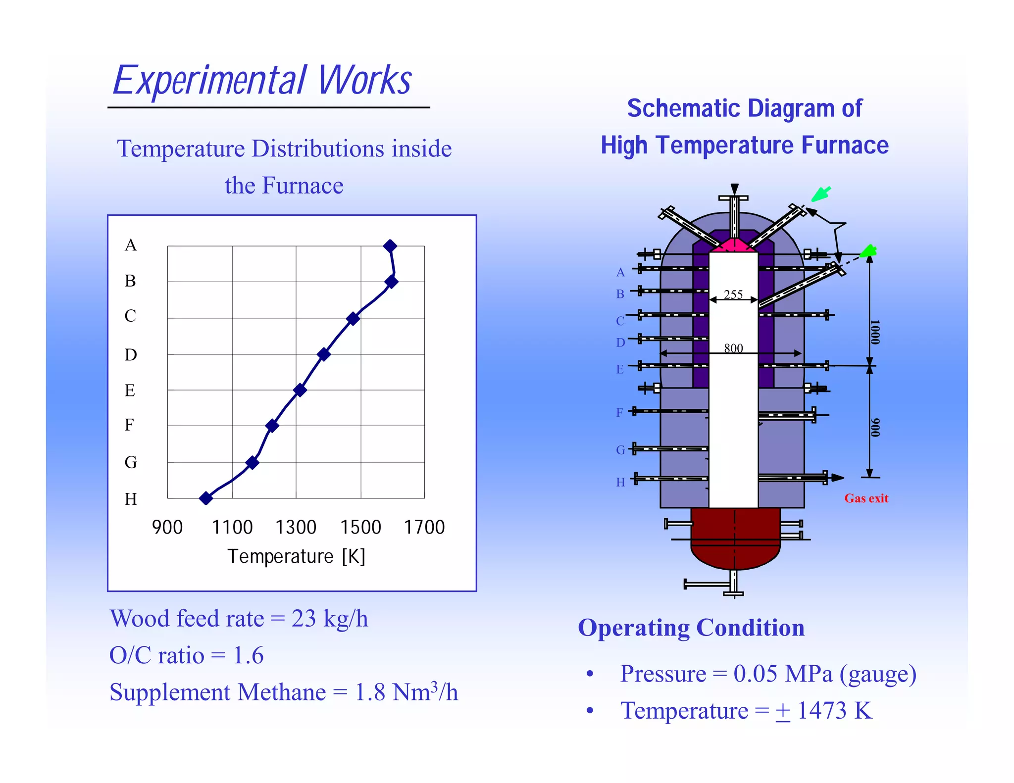 Modeling of Gasification Behavior