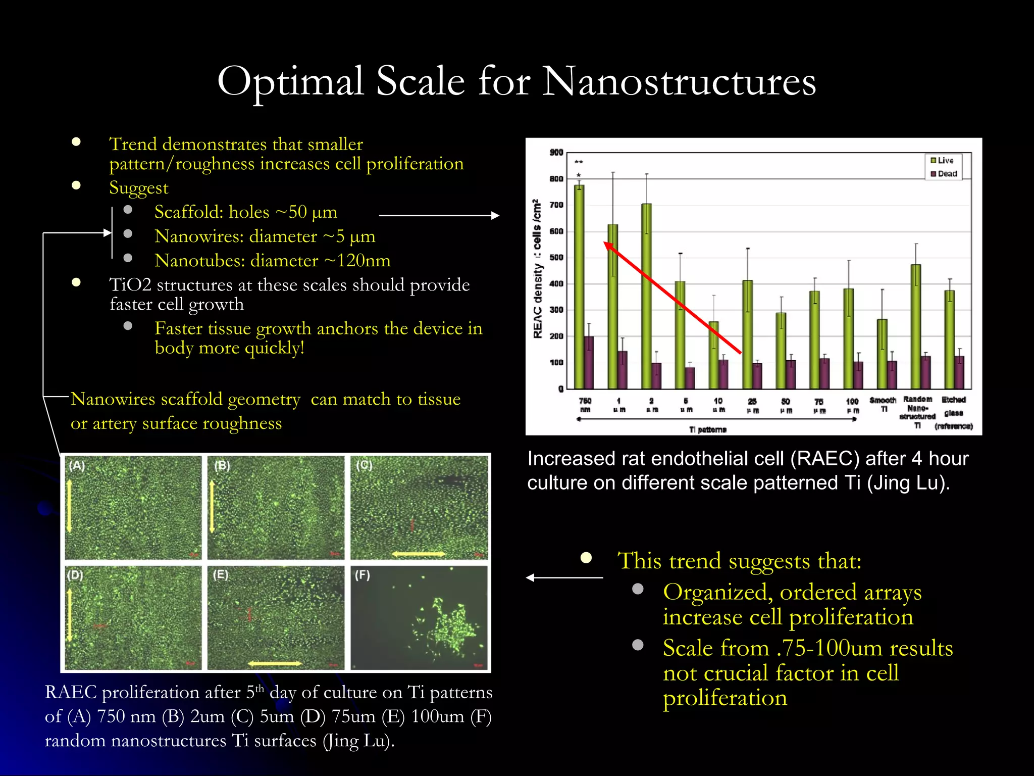 Optimal Scale for Nanostructures Trend demonstrates that smaller pattern/roughness increases cell proliferation Suggest Scaffold: holes ~50 µm Nanowires: diameter ~5 µm Nanotubes: diameter ~120nm TiO2 structures at these scales should provide faster cell growth Faster tissue growth anchors the device in body more quickly! Increased rat endothelial cell (RAEC) after 4 hour culture on different scale patterned Ti (Jing Lu). RAEC proliferation after 5 th  day of culture on Ti patterns of (A) 750 nm (B) 2um (C) 5um (D) 75um (E) 100um (F) random nanostructures Ti surfaces (Jing Lu). This trend suggests that: Organized, ordered arrays increase cell proliferation  Scale from .75-100um results not crucial factor in cell proliferation Nanowires scaffold geometry  can match to tissue or artery surface roughness 