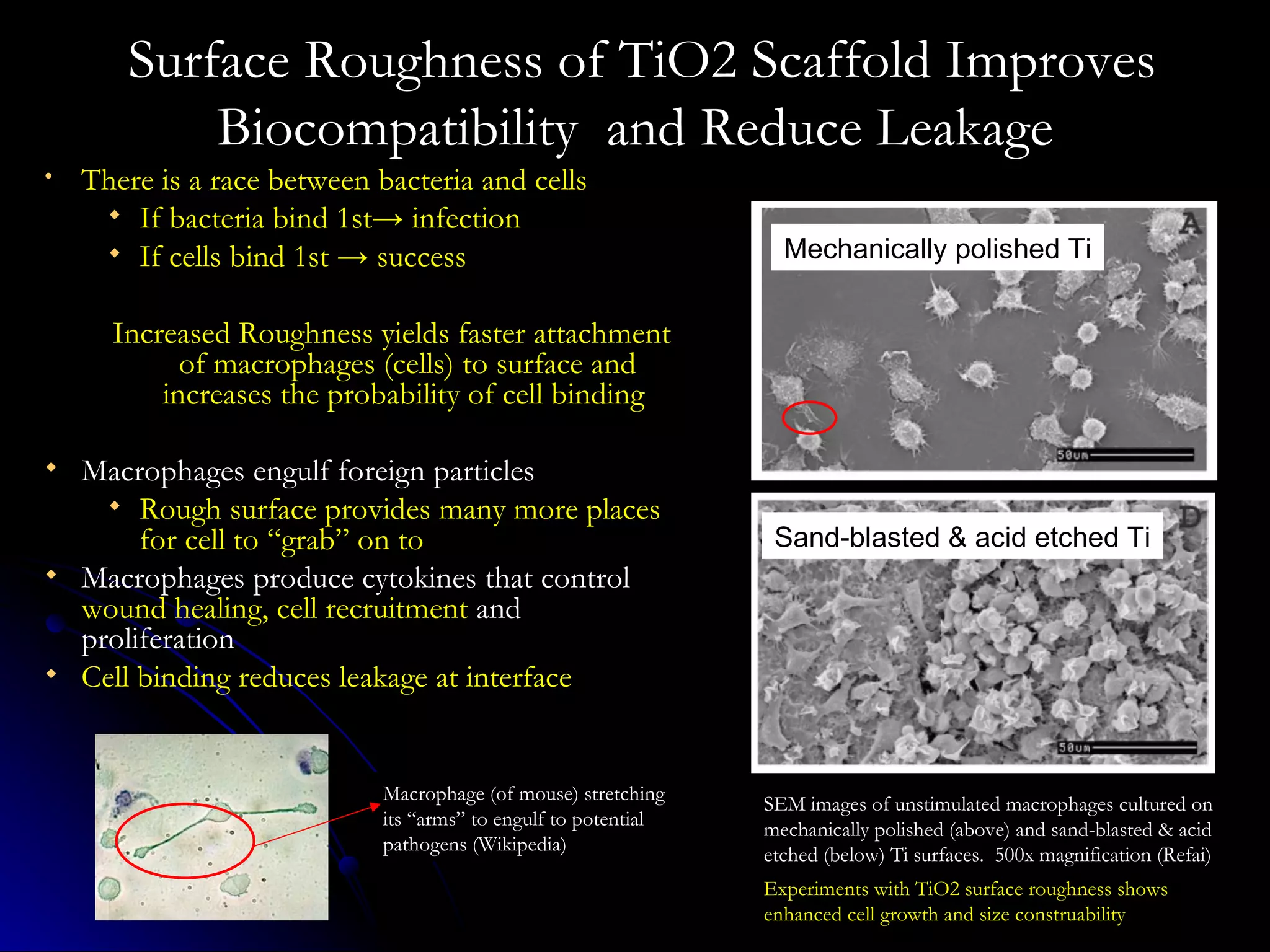 Surface Roughness of TiO2 Scaffold Improves Biocompatibility  and Reduce Leakage There is a race between bacteria and cells  If bacteria bind 1st-> infection If cells bind 1st -> success  Increased Roughness yields faster attachment of macrophages (cells) to surface and increases the probability of cell binding  Macrophages engulf foreign particles Rough surface provides many more places for cell to “grab” on to Macrophages produce cytokines that control  wound healing, cell recruitment  and proliferation Cell binding reduces leakage at interface SEM images of unstimulated macrophages cultured on mechanically polished (above) and sand-blasted & acid etched (below) Ti surfaces.  500x magnification (Refai) Macrophage (of mouse) stretching its “arms” to engulf to potential pathogens (Wikipedia) Experiments with TiO2 surface roughness shows enhanced cell growth and size construability Mechanically polished Ti Sand-blasted & acid etched Ti 