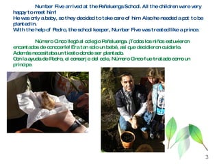 Number Five arrived at the Peñaluenga School. All the children were very happy to meet him!  He was only a baby, so they decided to take care of him. Also he needed a pot to be planted in. With the help of Pedro, the school keeper, Number Five was treated like a prince. Número Cinco llegó al colegio Peñaluenga. ¡Todos los niños estuvieron encantados de conocerle! Era tan solo un bebé, así que decidieron cuidarlo.  Además necesitaba un tiesto donde ser plantado. Con la ayuda de Pedro, el conserje del cole, Número Cinco fue tratado como un príncipe. 3 