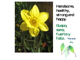 Handsome, healthy, strong and happy . Guapo, sano, fuerte y feliz. The end. Fin. 9 