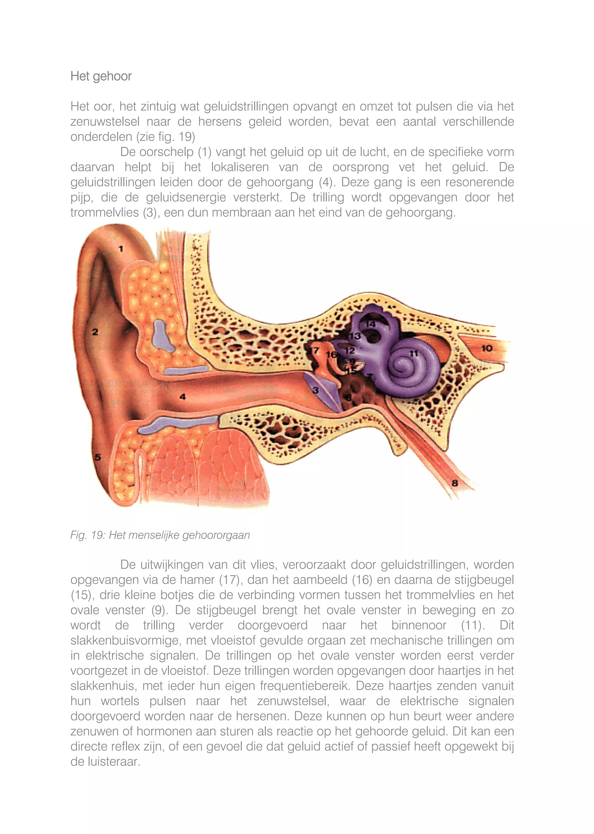 Auditive Architecture