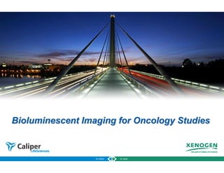 Bioluminescent Imaging for Oncology Studies



                                              1
 