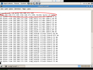 Testing and Analysis 
