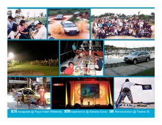 Orcavie 2008