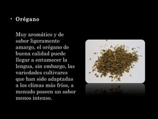 Orégano Muy aromático y de sabor ligeramente amargo, el orégano de buena calidad puede llegar a entumecer la lengua, sin embargo, las variedades cultivares que han sido adaptadas a los climas más fríos, a menudo poseen un sabor menos intenso. 