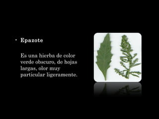 Epazote Es una hierba de color verde obscuro, de hojas largas, olor muy particular ligeramente. 