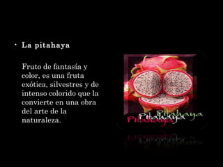 La pitahaya Fruto de fantasía y color, es una fruta exótica, silvestres y de intenso colorido que la convierte en una obra del arte de la naturaleza . 
