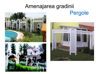 Amenajarea gradinii Pergole 
