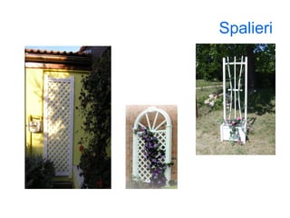 Spalieri 