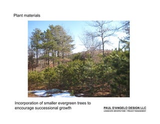 Prs   Landscape Buffers 2