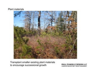 Prs   Landscape Buffers 2