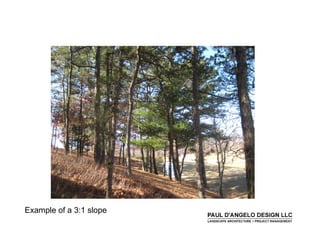 Prs   Landscape Buffers 2