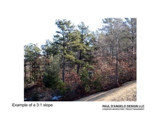 Prs   Landscape Buffers 2