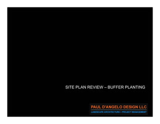 Prs   Landscape Buffers 2