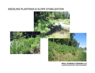 Prs   Landscape Buffers 2