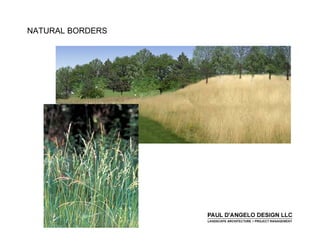 Prs   Landscape Buffers 2