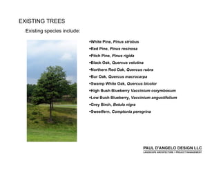 Prs   Landscape Buffers 2