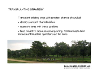 Prs   Landscape Buffers 2