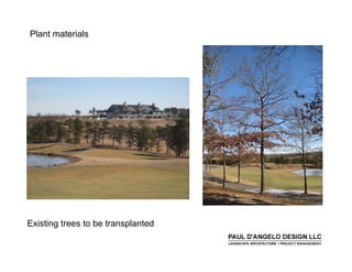 Prs   Landscape Buffers 2