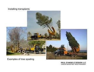 Prs   Landscape Buffers 2