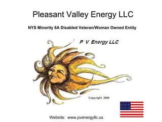 Pleasant Valley Energy LLC NYS Minority 8A Disabled Veteran/Woman Owned Entity   Website:  www.pvenergyllc.us 