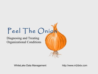 Peel The Onion
Diagnosing and Treating
Organizational Conditions
WhiteLake Data Management http://www.m2dxtx.com
 