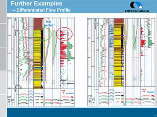 Further Examples   – Differentiated Flow Profile PERM SPINNER PERM SPINNER Not perfed 